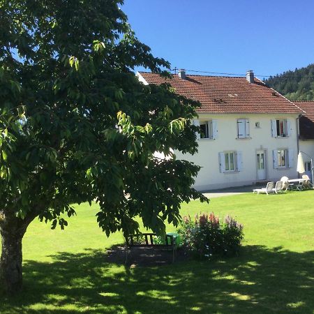 Gîte Léonline sur les hauteurs de Masevaux -au pied des Vosges Extérieur photo