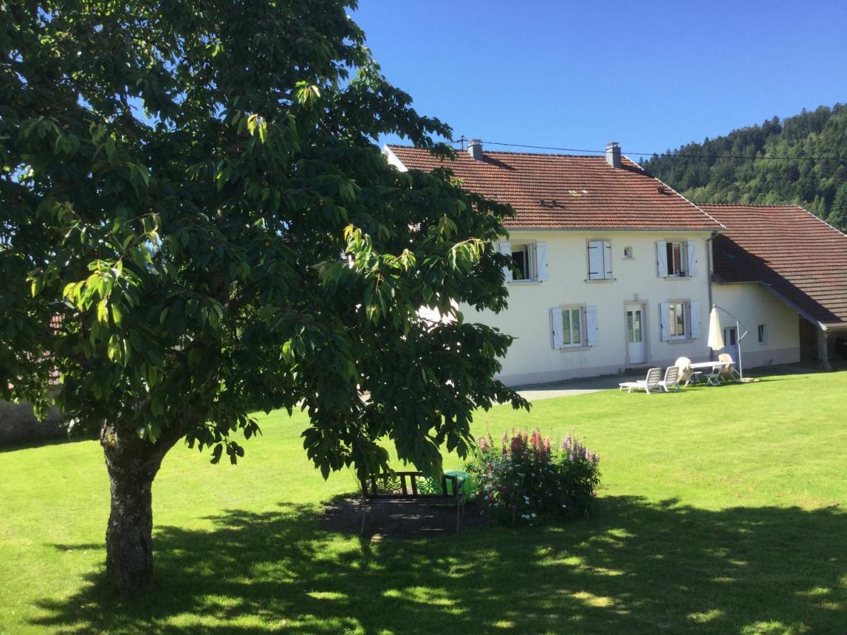 Gîte Léonline sur les hauteurs de Masevaux -au pied des Vosges Extérieur photo