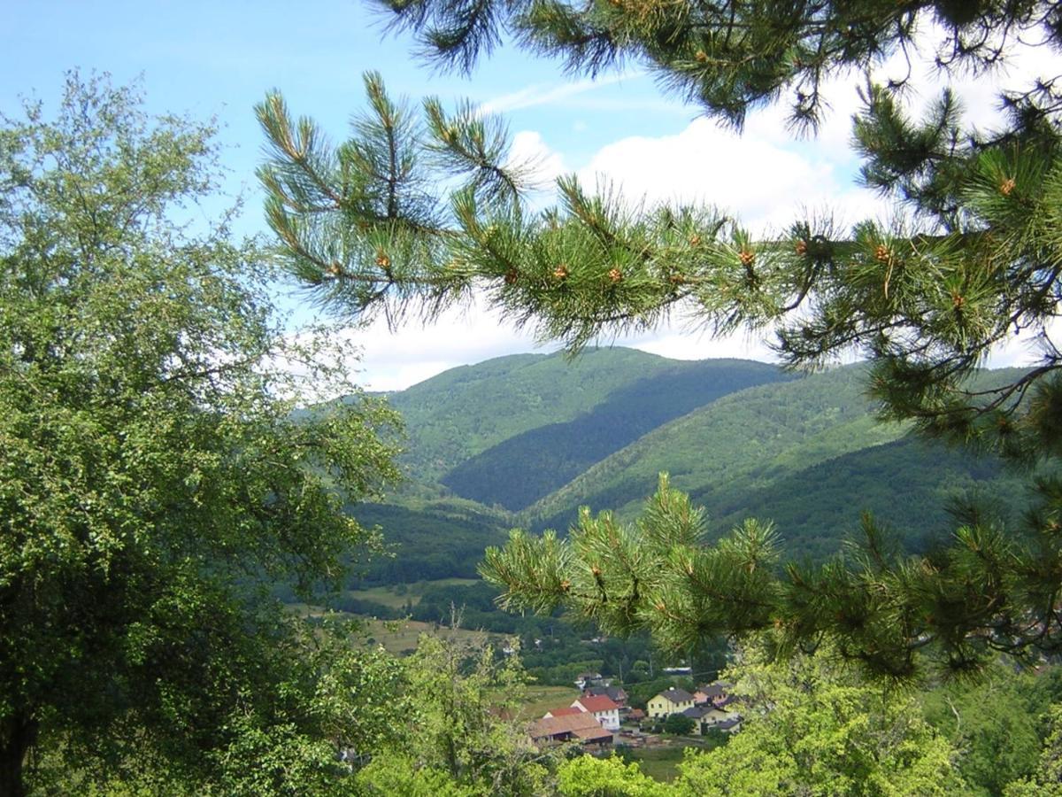 Gîte Léonline sur les hauteurs de Masevaux -au pied des Vosges Extérieur photo