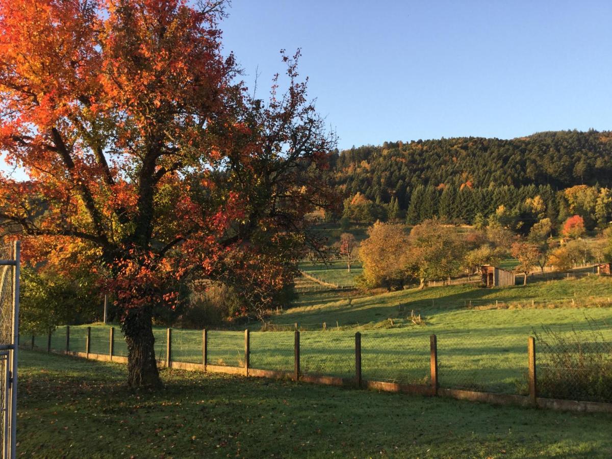 Gîte Léonline sur les hauteurs de Masevaux -au pied des Vosges Extérieur photo