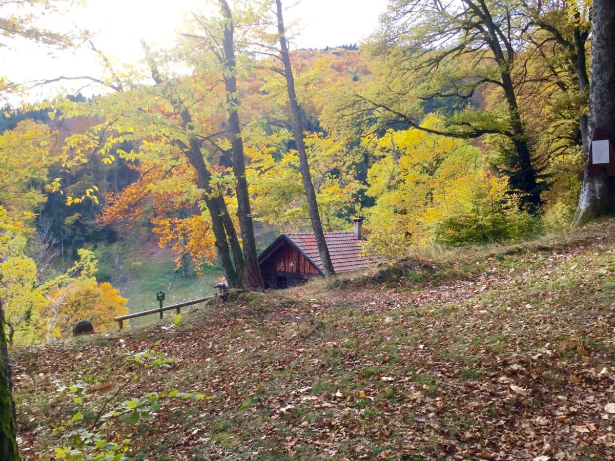 Gîte Léonline sur les hauteurs de Masevaux -au pied des Vosges Extérieur photo