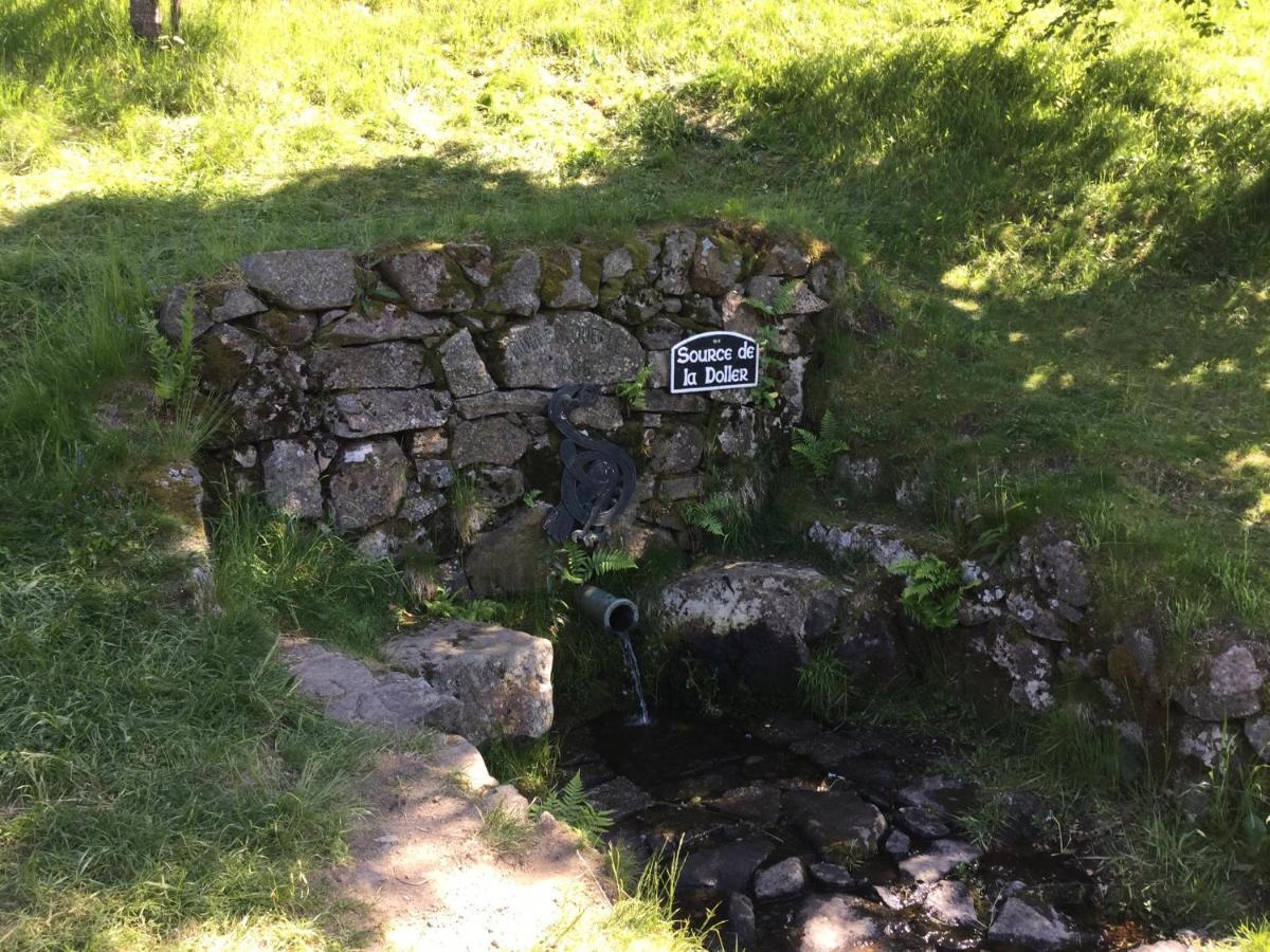 Gîte Léonline sur les hauteurs de Masevaux -au pied des Vosges Extérieur photo