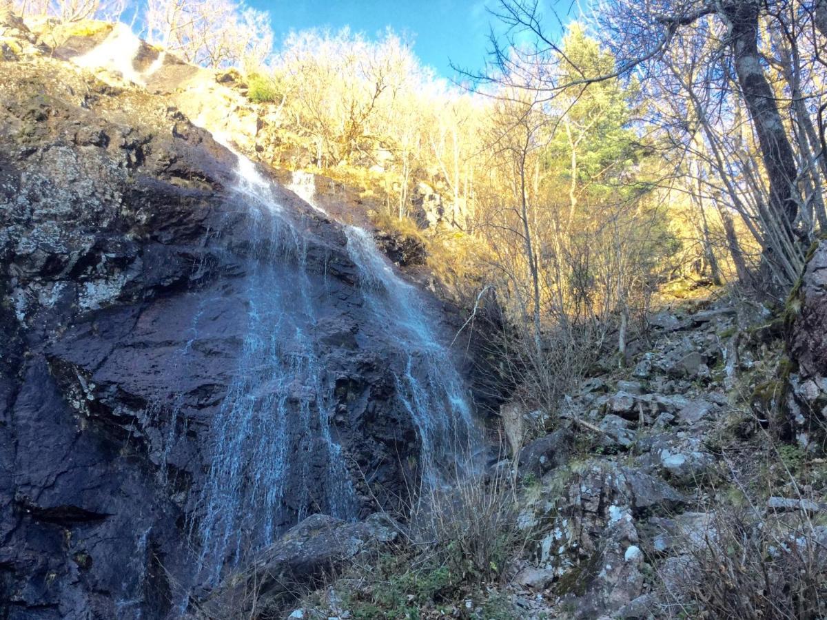 Gîte Léonline sur les hauteurs de Masevaux -au pied des Vosges Extérieur photo