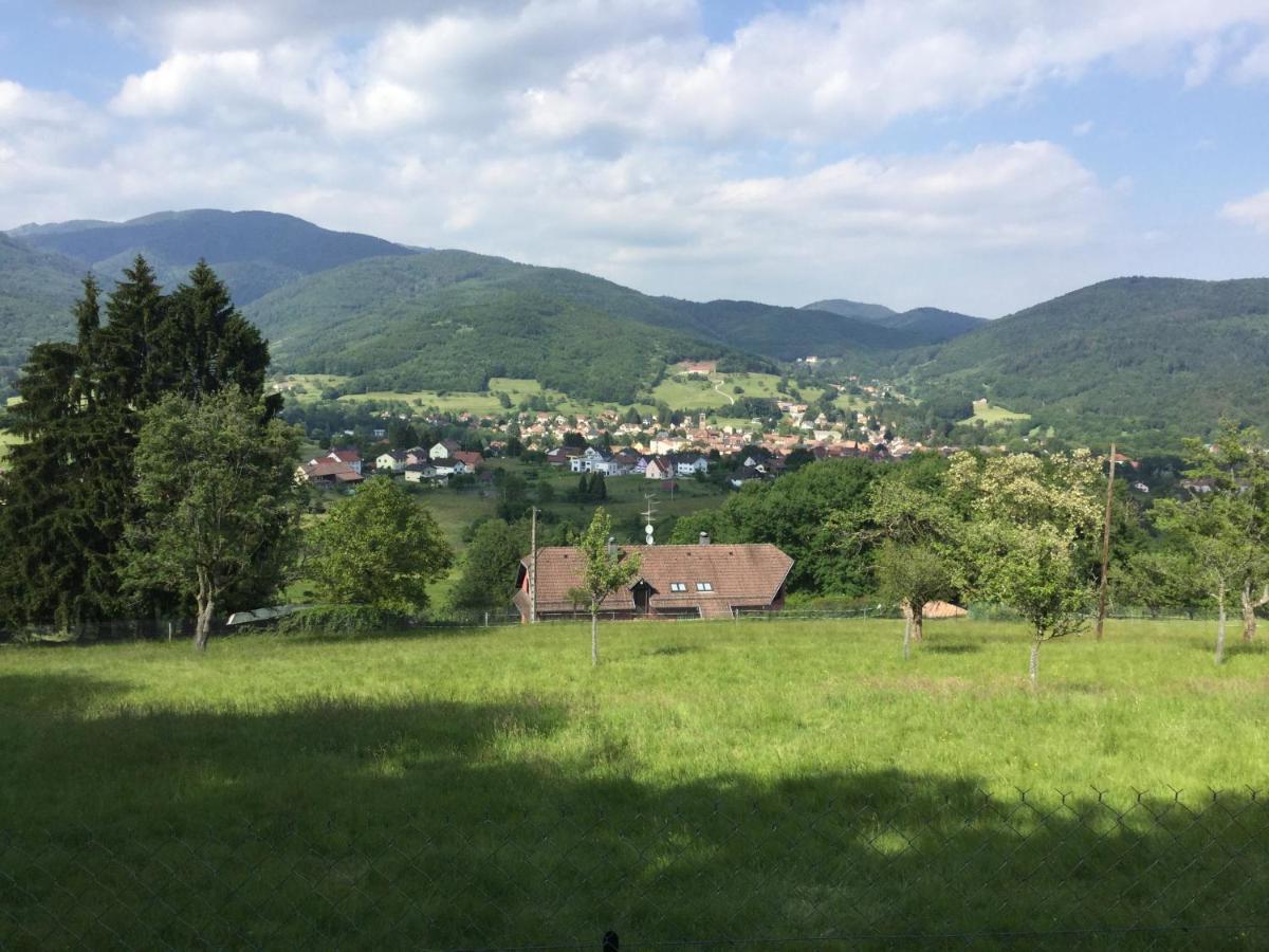 Gîte Léonline sur les hauteurs de Masevaux -au pied des Vosges Extérieur photo