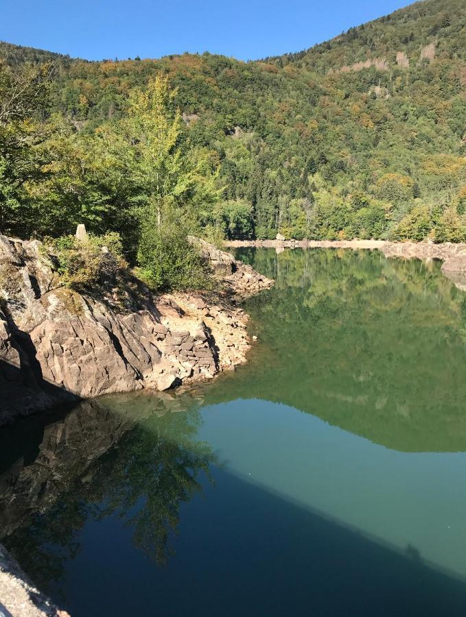 Gîte Léonline sur les hauteurs de Masevaux -au pied des Vosges Extérieur photo