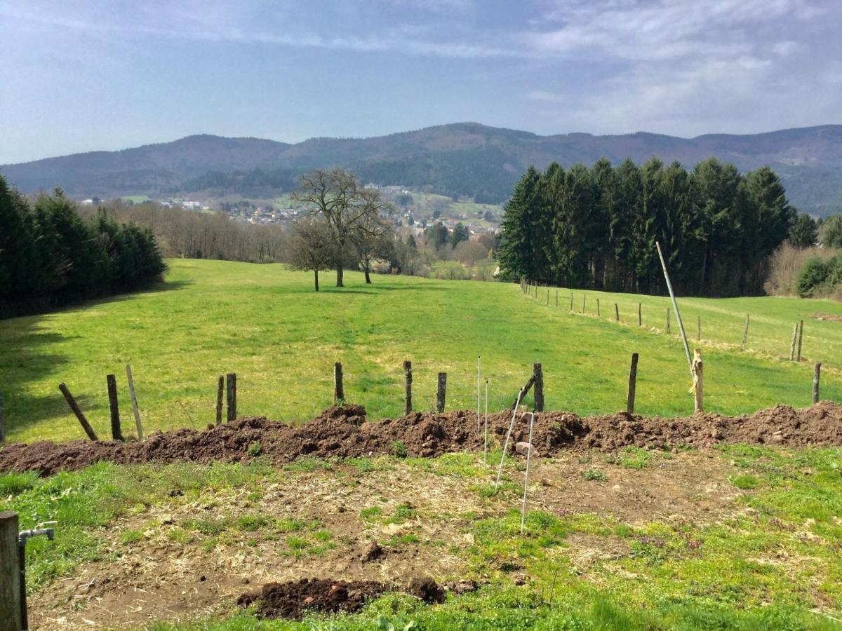 Gîte Léonline sur les hauteurs de Masevaux -au pied des Vosges Extérieur photo