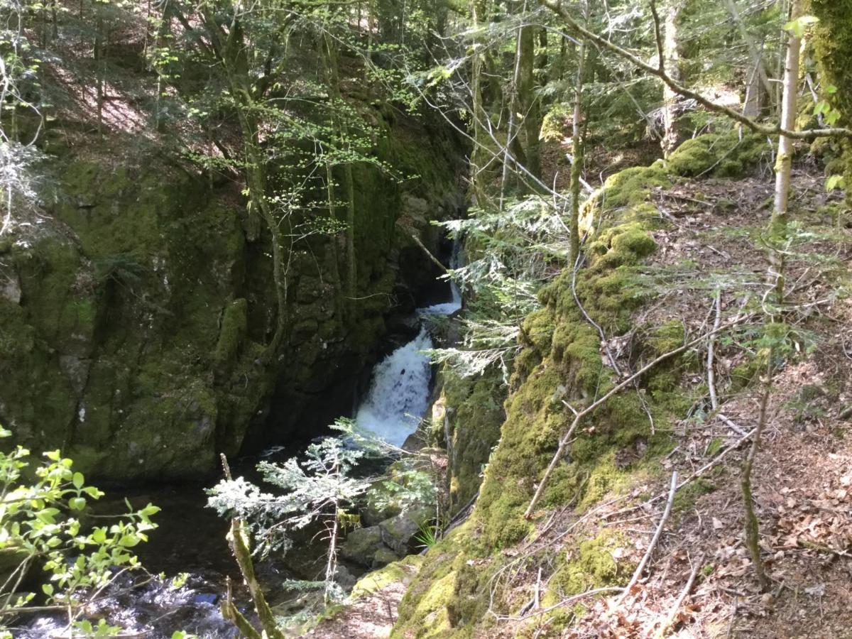 Gîte Léonline sur les hauteurs de Masevaux -au pied des Vosges Extérieur photo