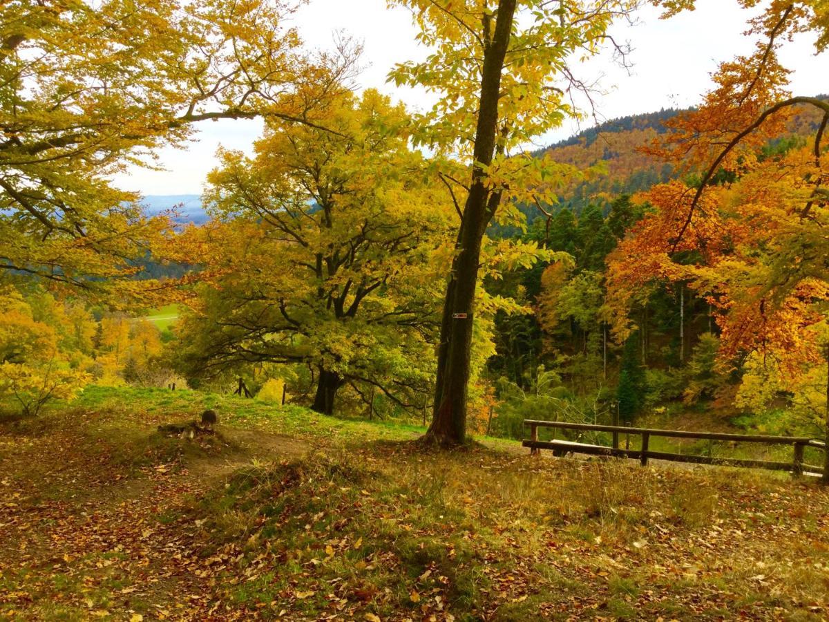 Gîte Léonline sur les hauteurs de Masevaux -au pied des Vosges Extérieur photo