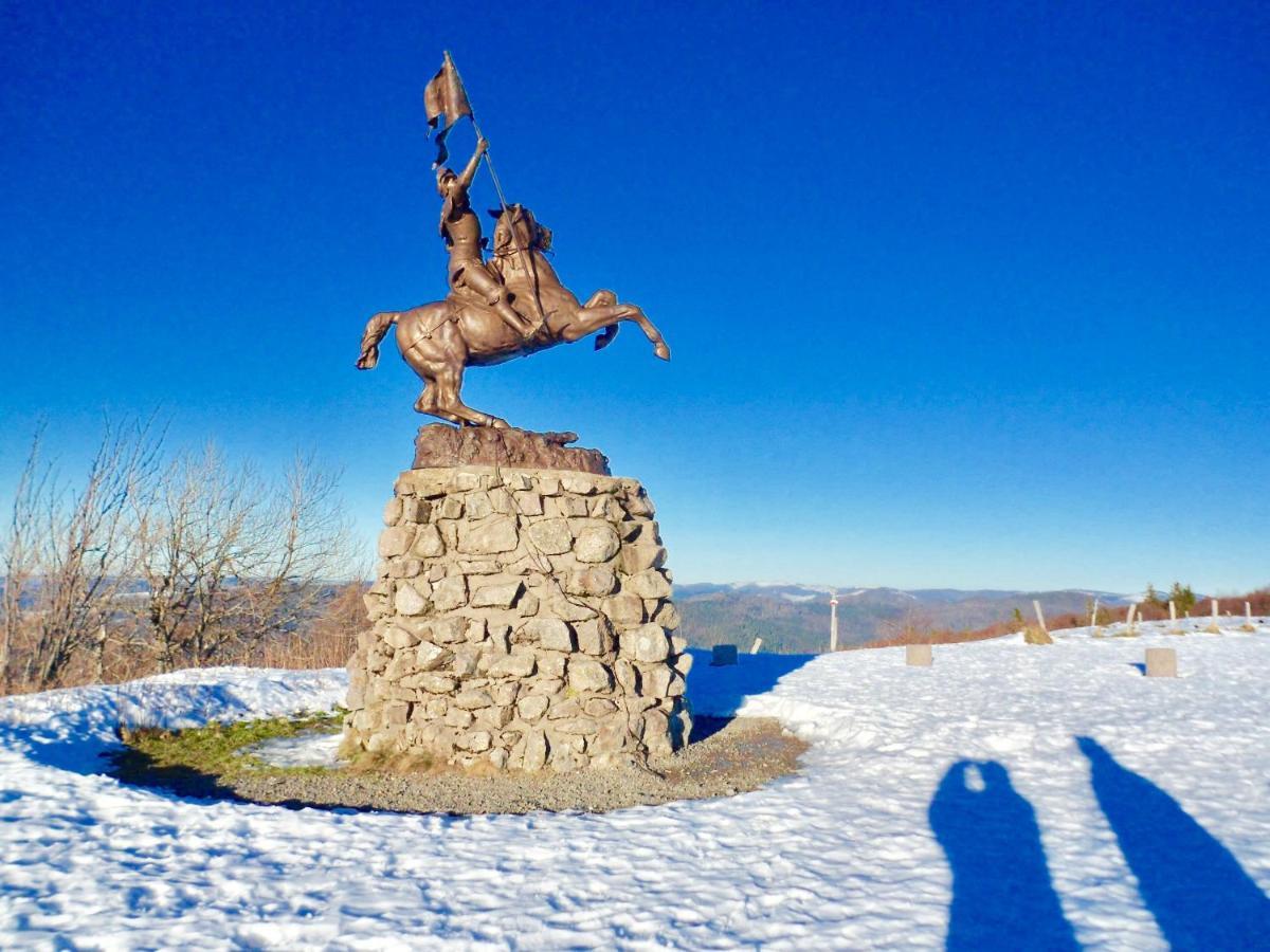 Gîte Léonline sur les hauteurs de Masevaux -au pied des Vosges Extérieur photo