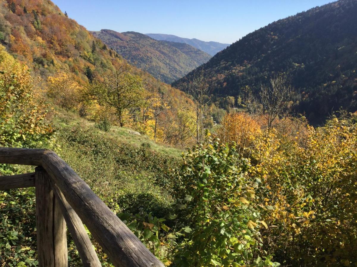 Gîte Léonline sur les hauteurs de Masevaux -au pied des Vosges Extérieur photo