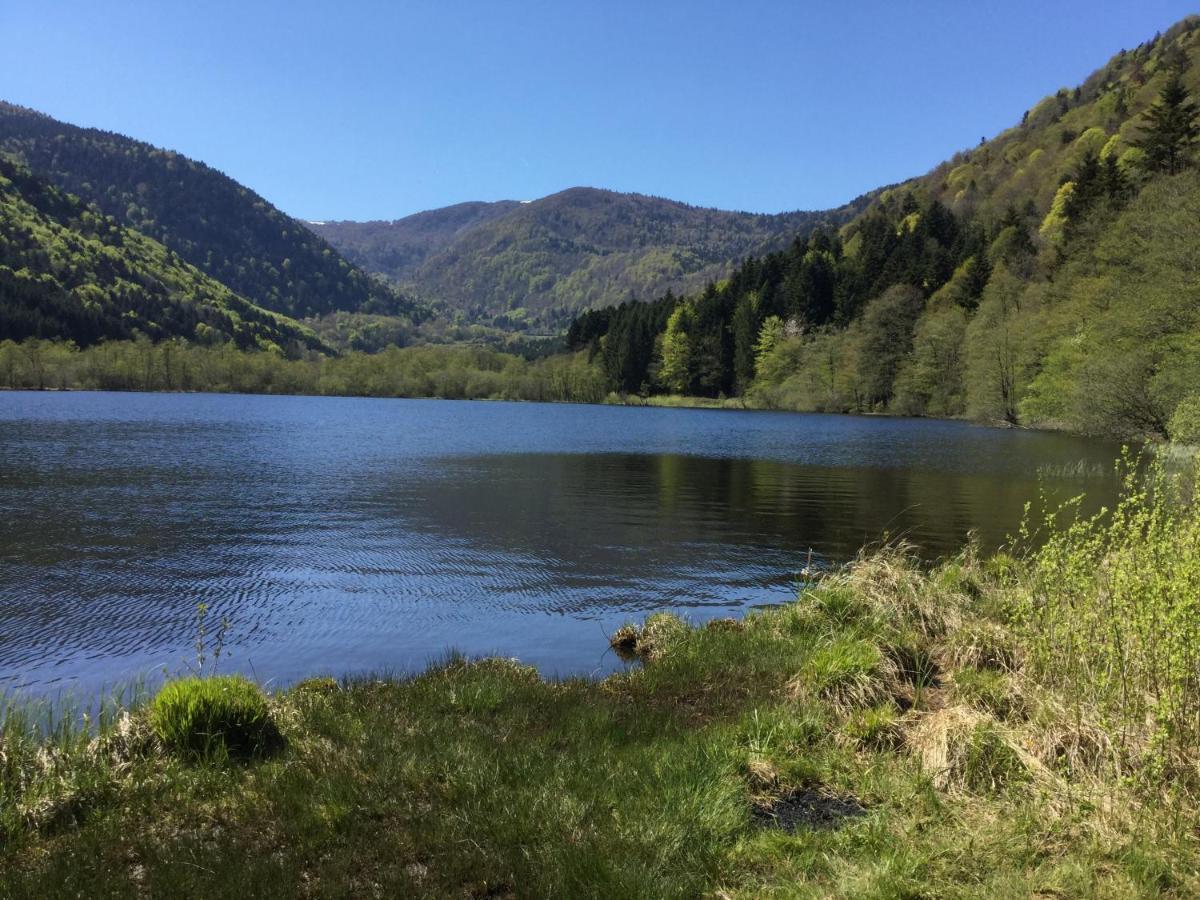 Gîte Léonline sur les hauteurs de Masevaux -au pied des Vosges Extérieur photo