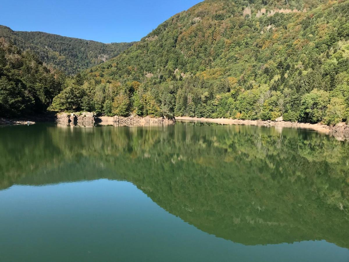 Gîte Léonline sur les hauteurs de Masevaux -au pied des Vosges Extérieur photo