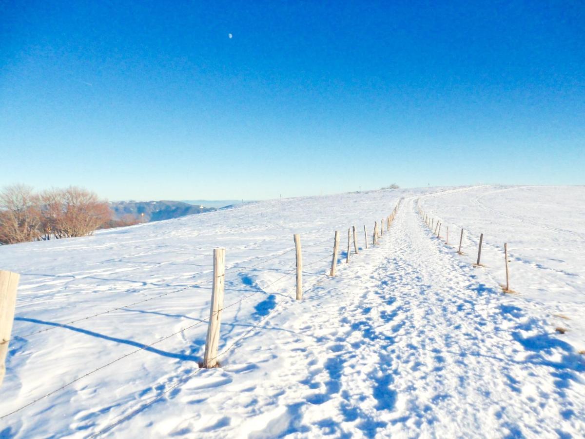 Gîte Léonline sur les hauteurs de Masevaux -au pied des Vosges Extérieur photo