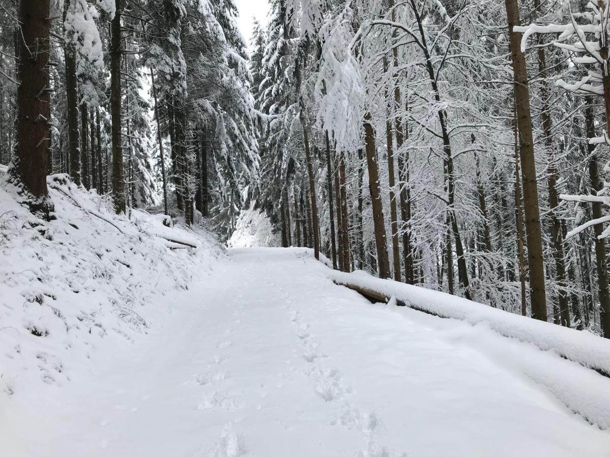 Gîte Léonline sur les hauteurs de Masevaux -au pied des Vosges Extérieur photo