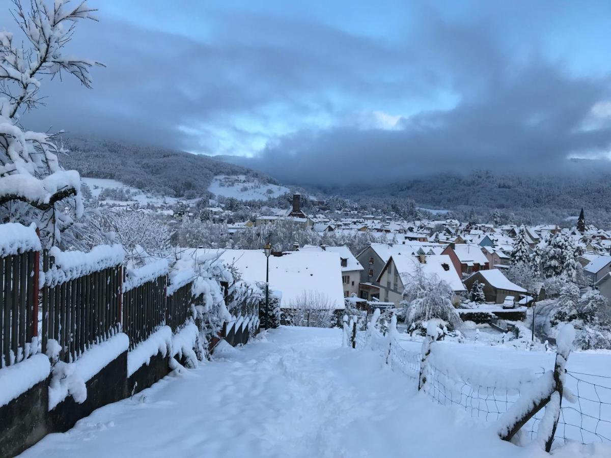 Gîte Léonline sur les hauteurs de Masevaux -au pied des Vosges Extérieur photo