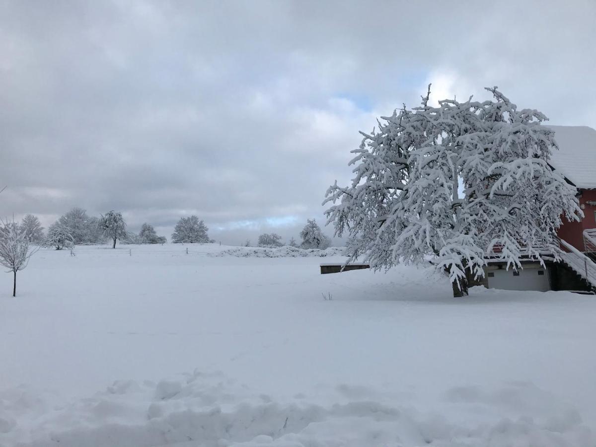 Gîte Léonline sur les hauteurs de Masevaux -au pied des Vosges Extérieur photo