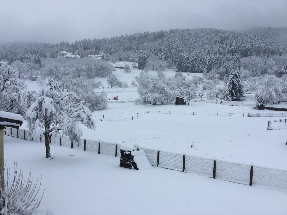 Gîte Léonline sur les hauteurs de Masevaux -au pied des Vosges Extérieur photo