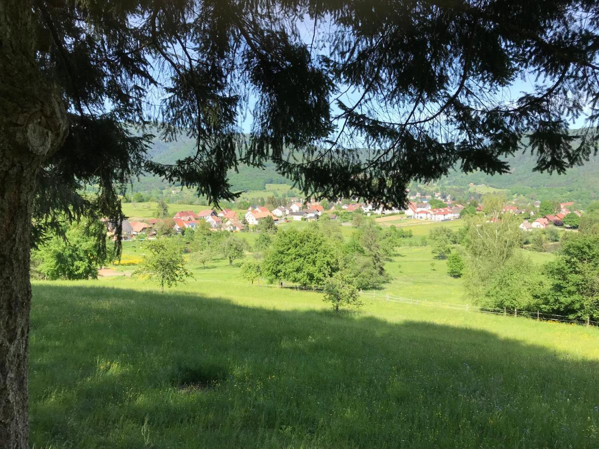 Gîte Léonline sur les hauteurs de Masevaux -au pied des Vosges Extérieur photo